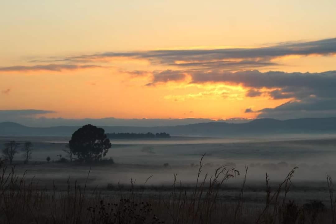 Forellenhof Guest Farm Wakkerstroom Экстерьер фото