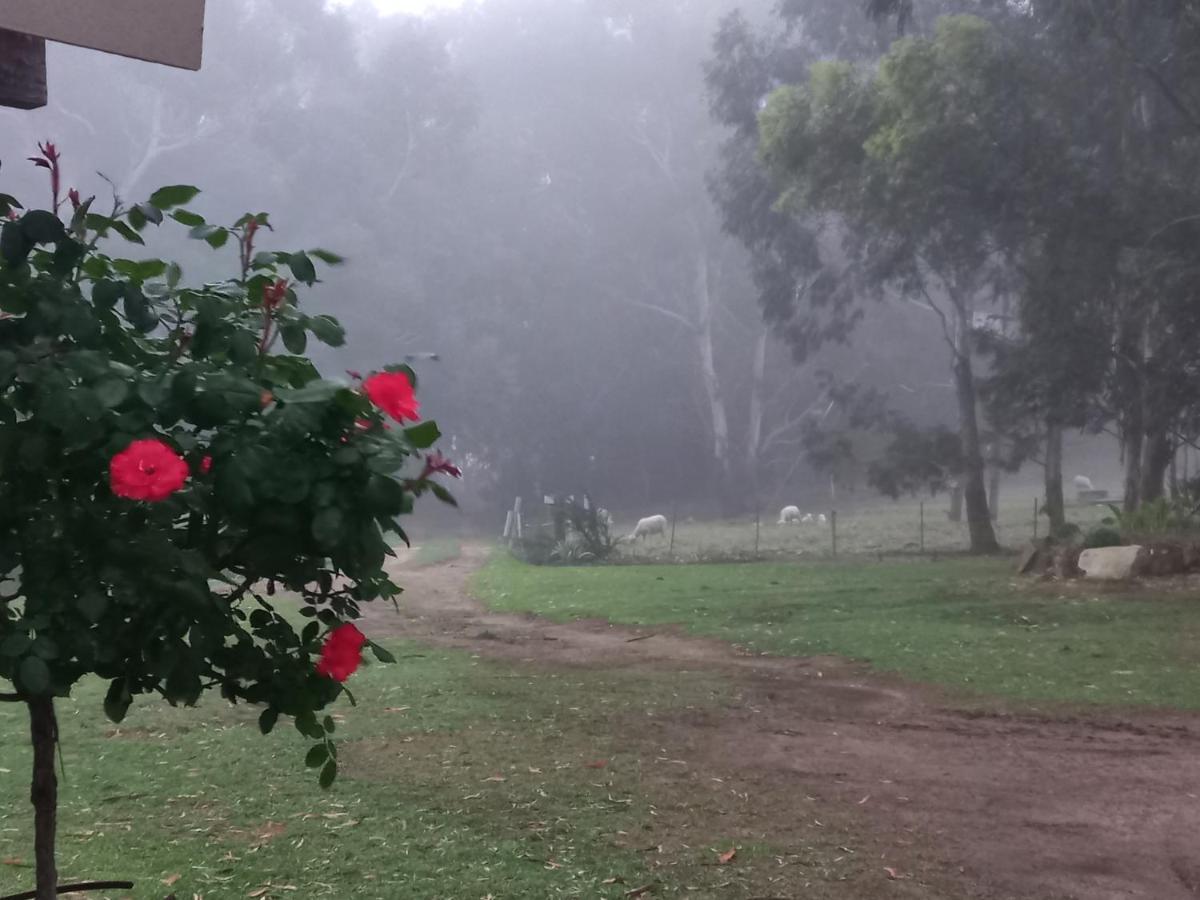 Forellenhof Guest Farm Wakkerstroom Экстерьер фото
