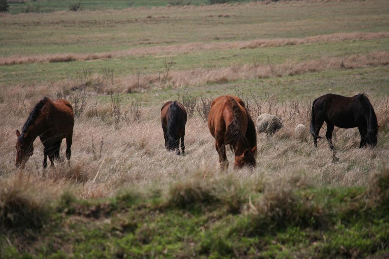 Forellenhof Guest Farm Wakkerstroom Экстерьер фото