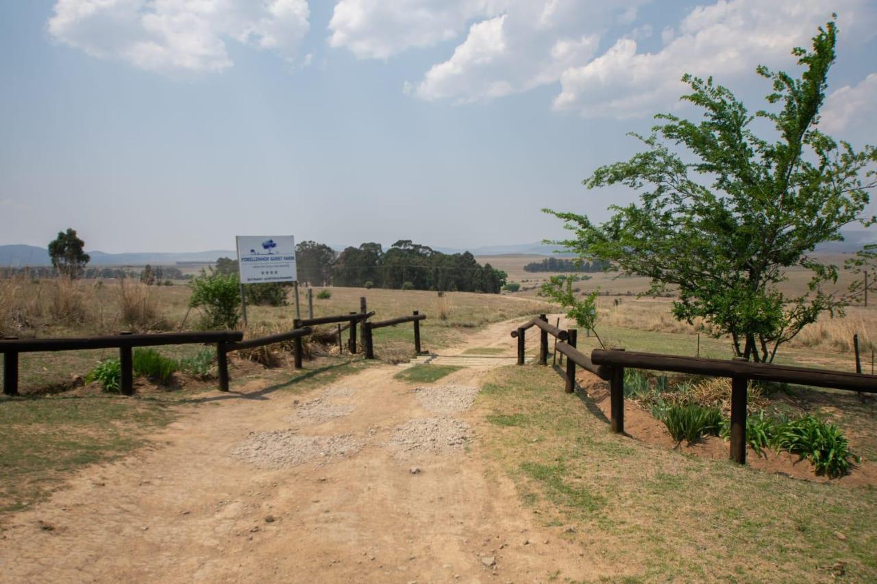 Forellenhof Guest Farm Wakkerstroom Экстерьер фото