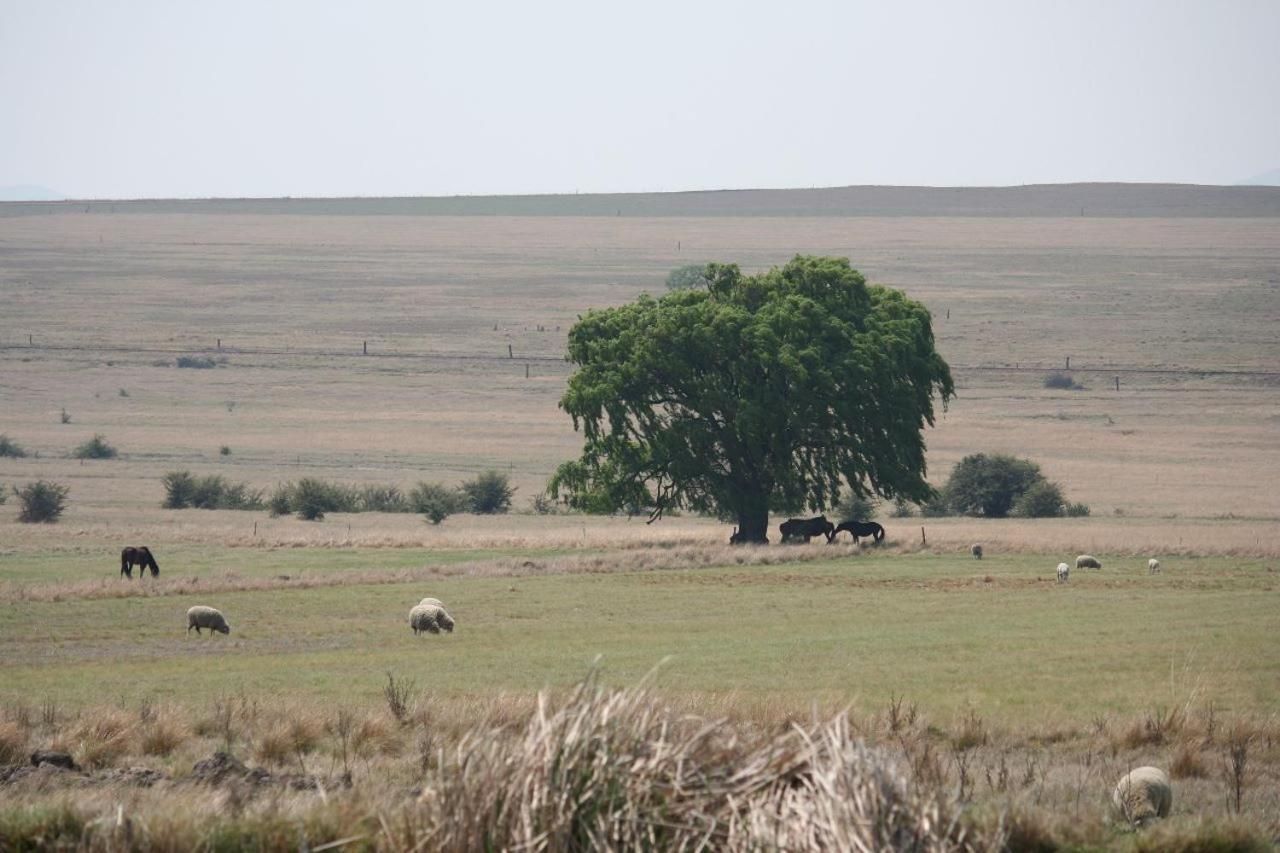 Forellenhof Guest Farm Wakkerstroom Экстерьер фото