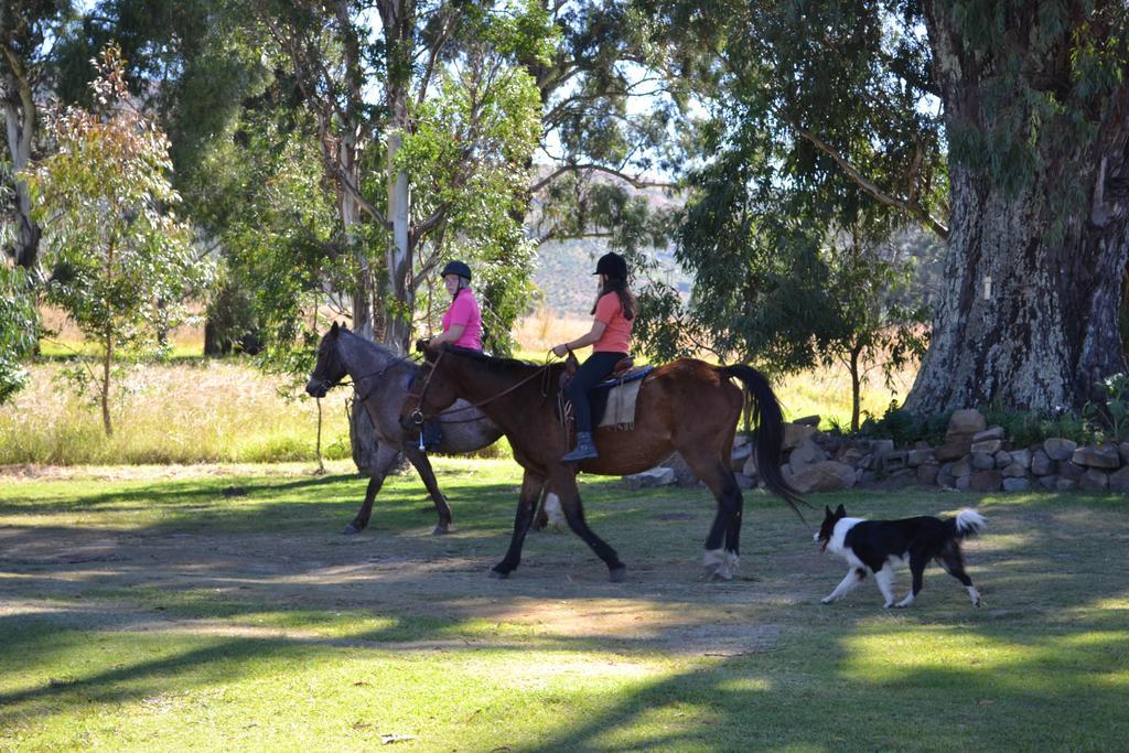 Forellenhof Guest Farm Wakkerstroom Экстерьер фото
