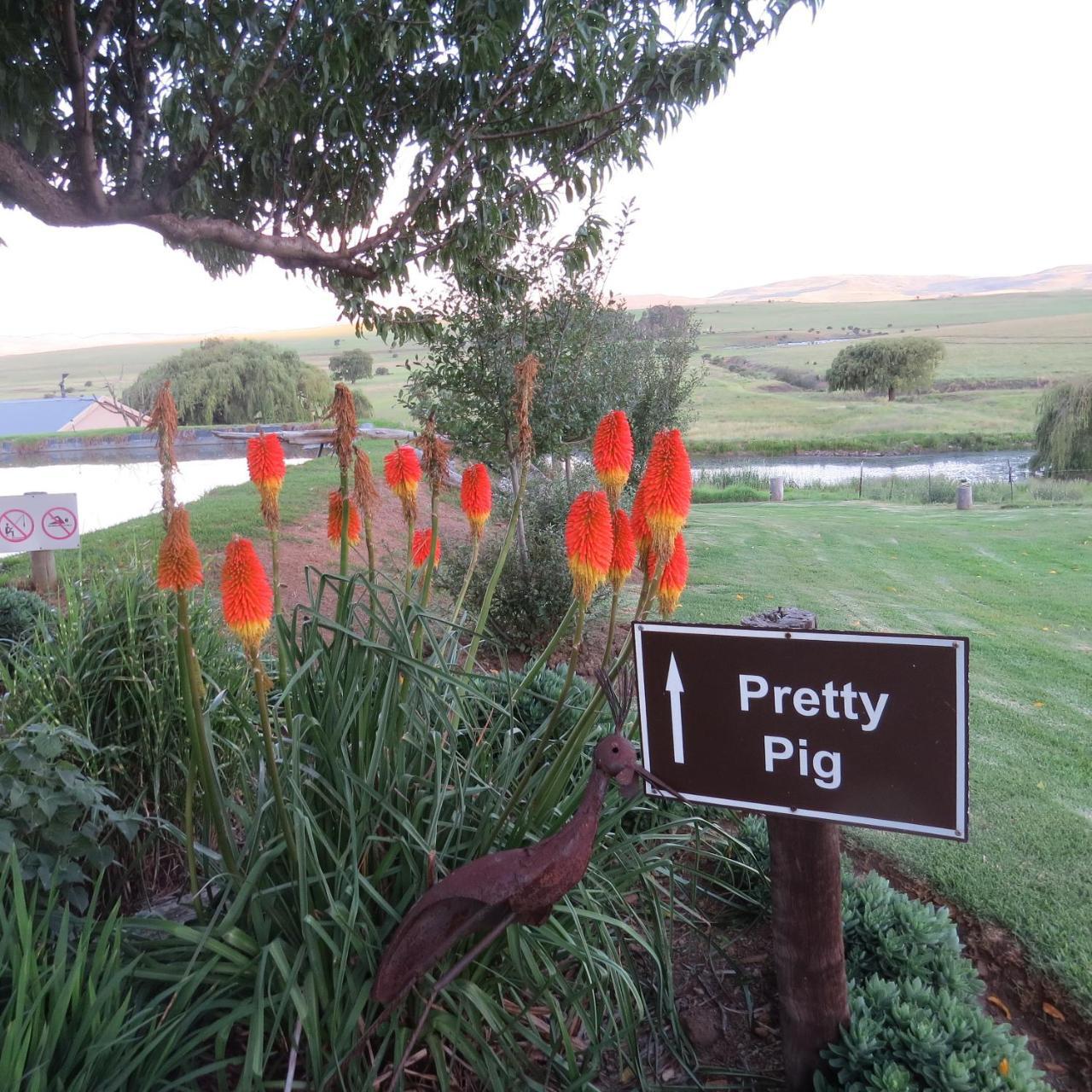 Forellenhof Guest Farm Wakkerstroom Экстерьер фото